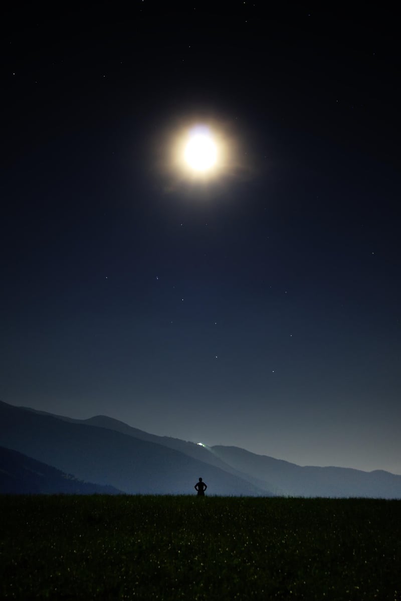 Fairy Tale Night
