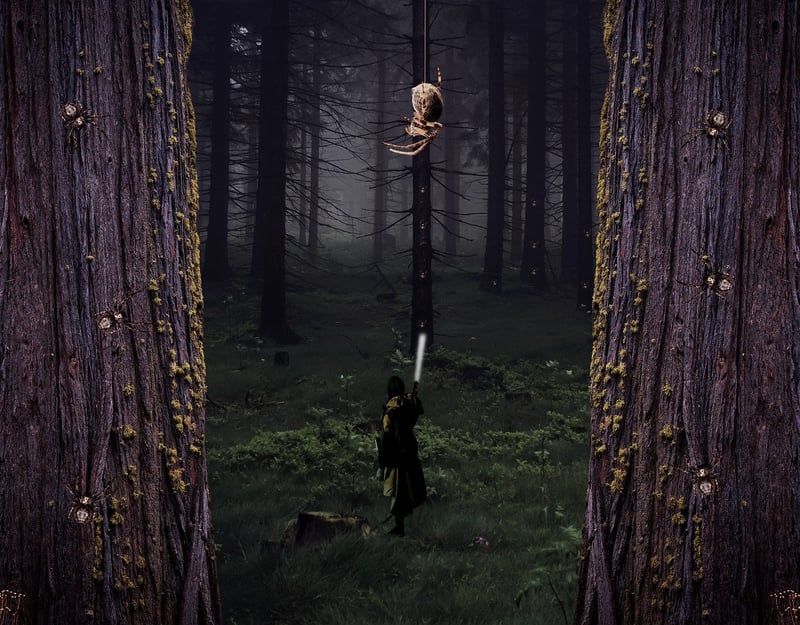Enchanted Forest Dweller